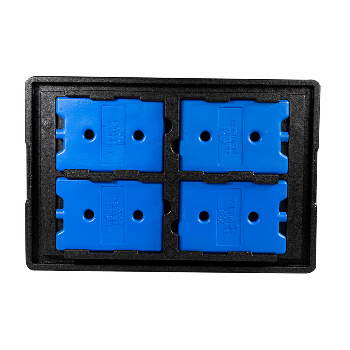 KÜHLDECKEL GN 1/1 mit 4 Kühlakkus MINI