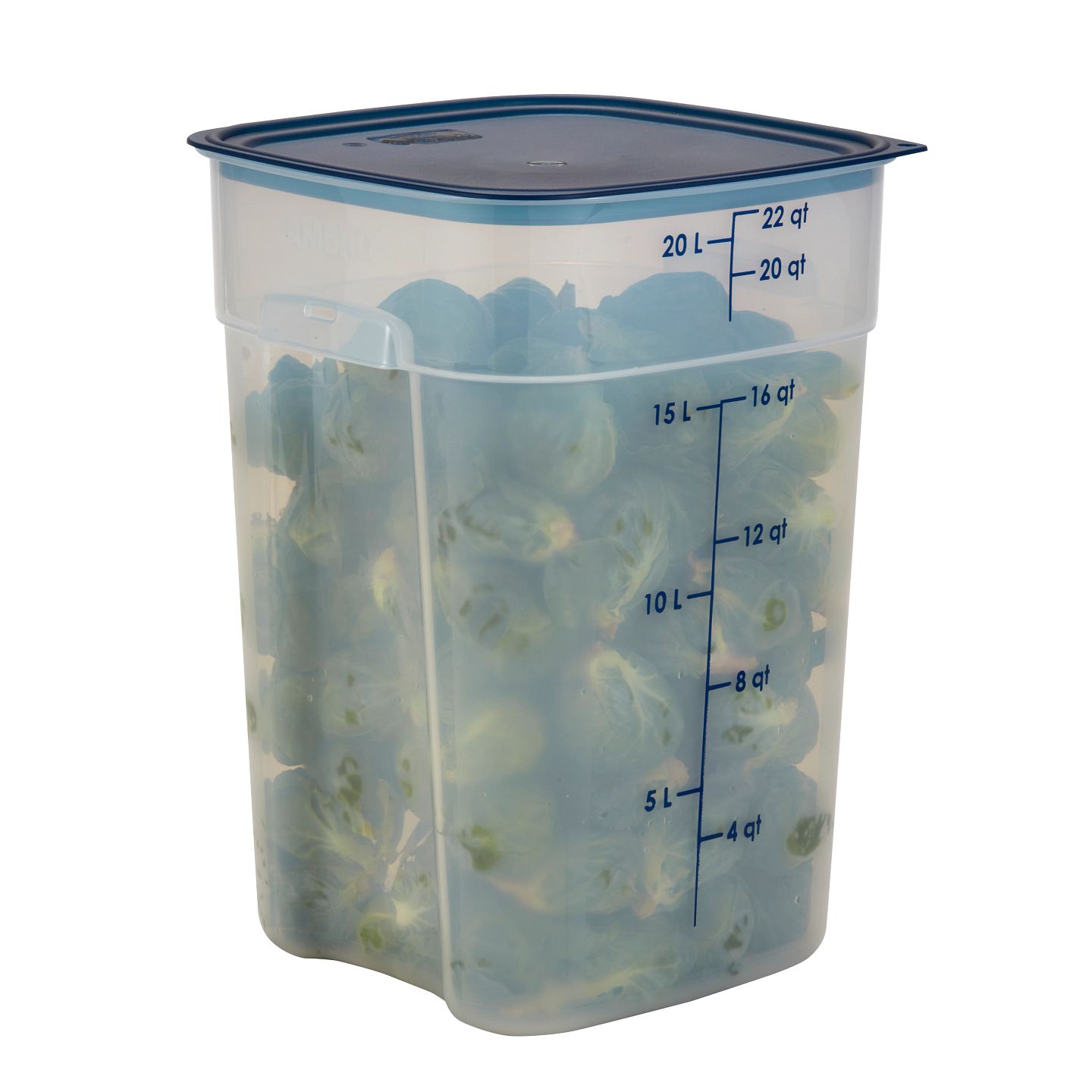 CamRound Fresh Pro PP Behälter 20,8 L